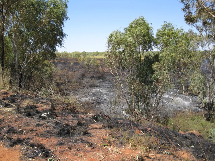 burnt country